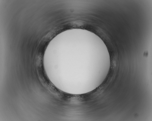 X0000113150468200910021506