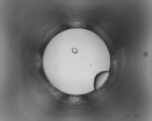 X0000113150469200910021506