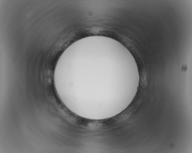 X0000113150470200910021507