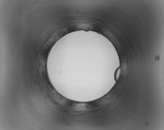 X0000113150473200910021507