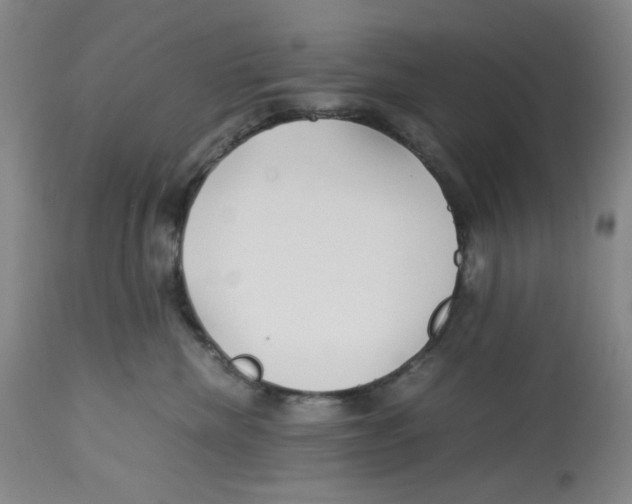 X0000113150476200910021507