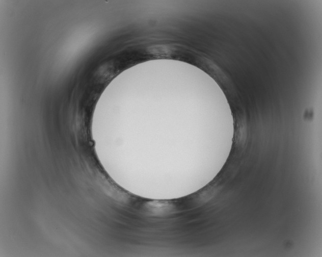 X0000113150477200910021507