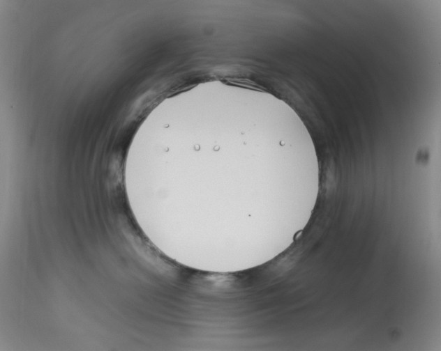 X0000113150478200910021507