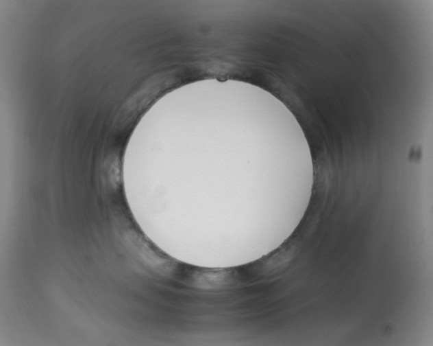 X0000113150479200910021507