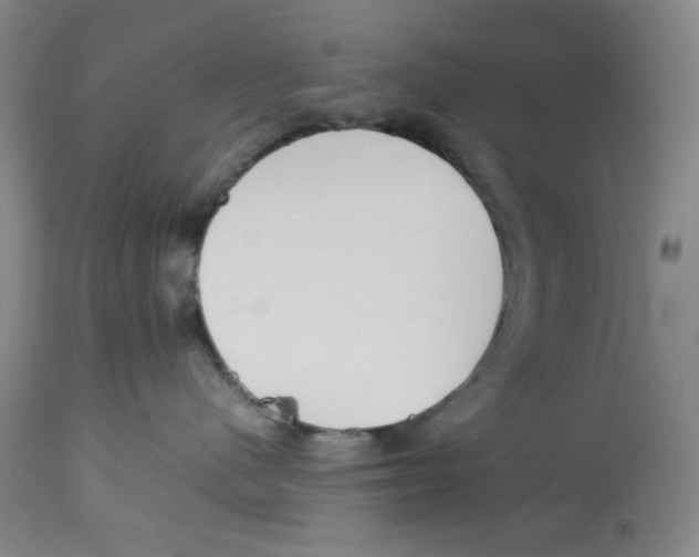 X0000113150480200910021507