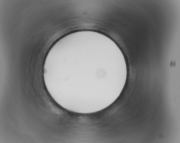 X0000113150481200910021506