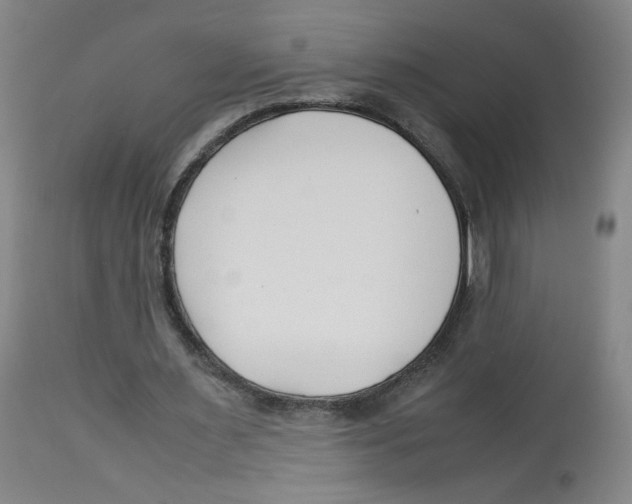 X0000113150483200910021506