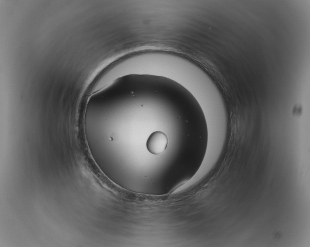 X0000113150484200910021506