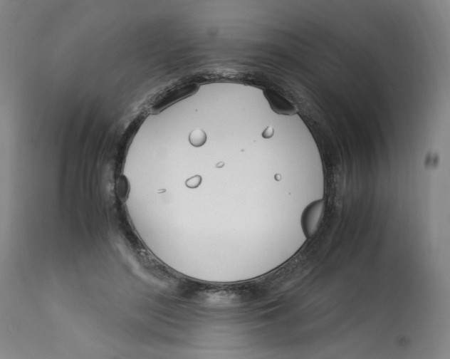 X0000113150500200910021505