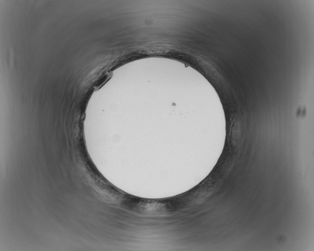 X0000113150501200910021505