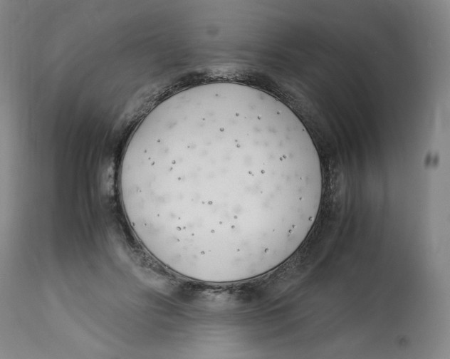 X0000113150502200910021505