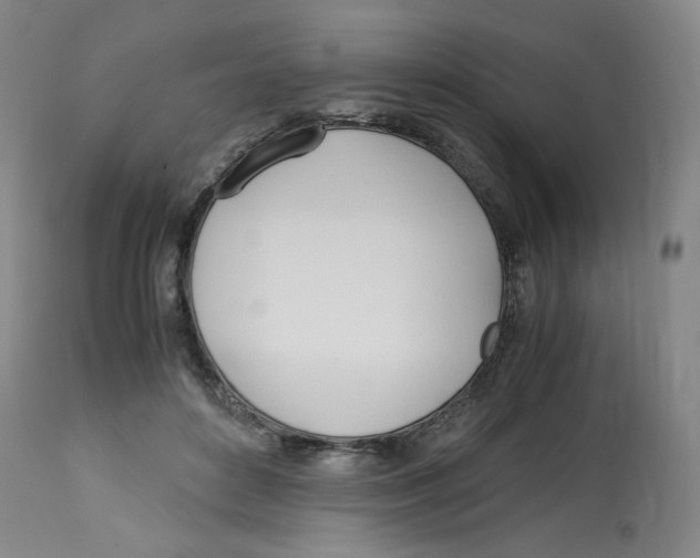 X0000113150504200910021505