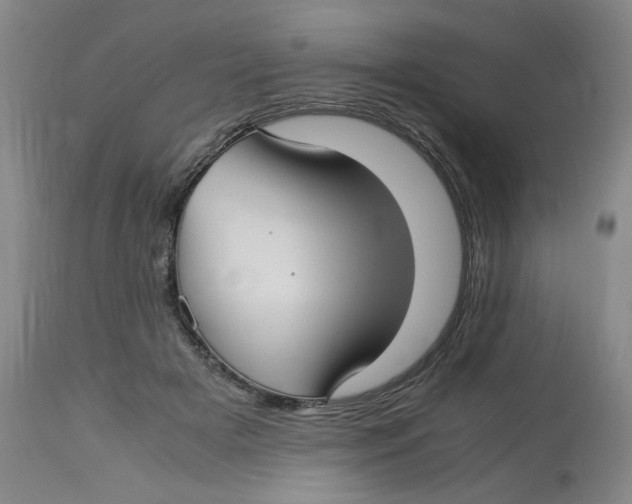 X0000113150505200910021505