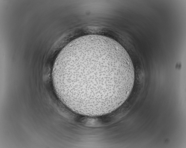 X0000113150507200910021505