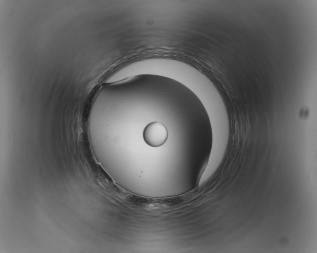 X0000113150508200910021505