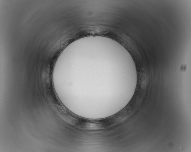 X0000113150510200910021505