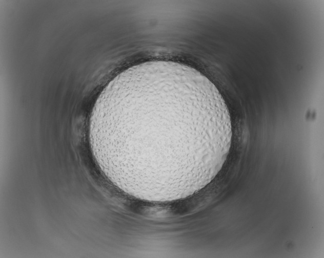 X0000113150511200910021505