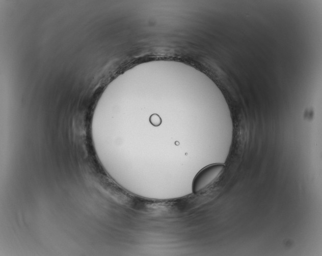 X0000113150516200910021505