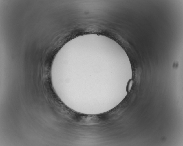 X0000113150517200910021505