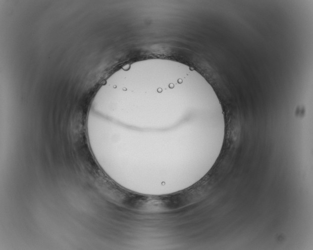 X0000113150518200910021505