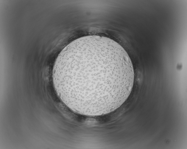 X0000113150519200910021505