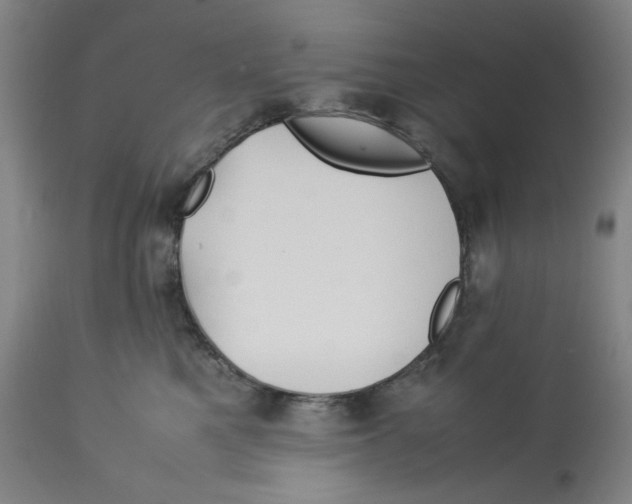 X0000113150521200910021505