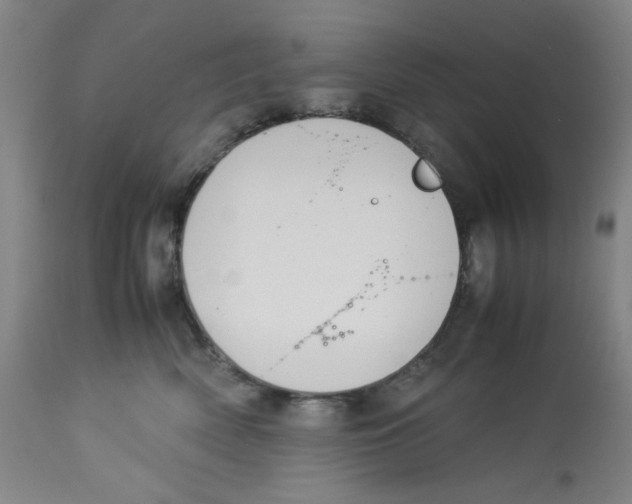 X0000113150522200910021505