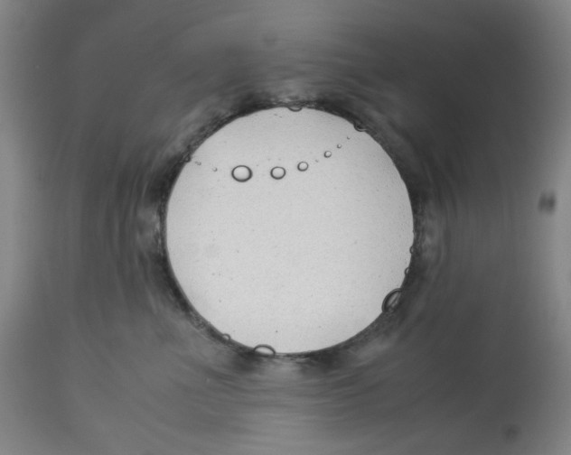 X0000113150523200910021505