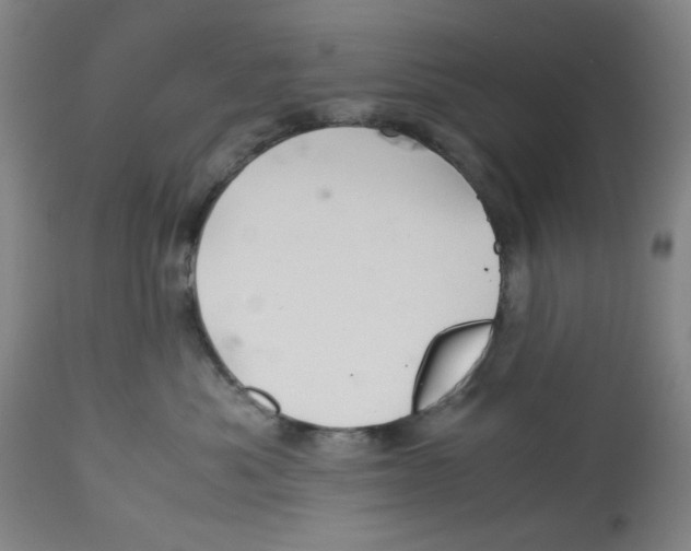 X0000113150525200910021505