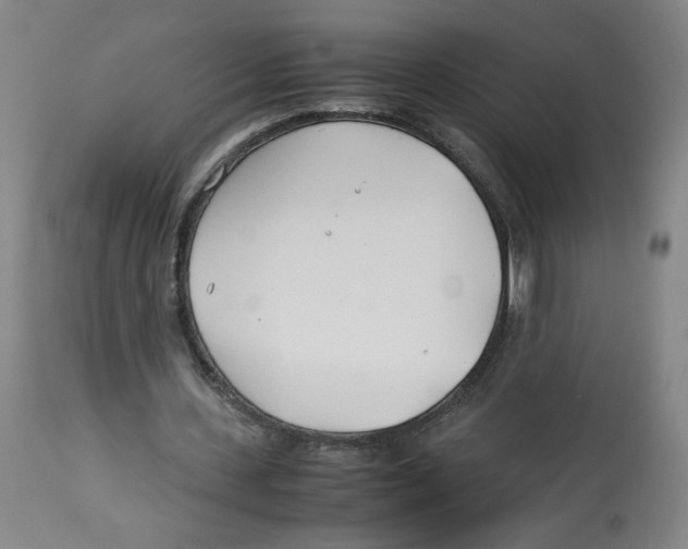 X0000113150531200910021504