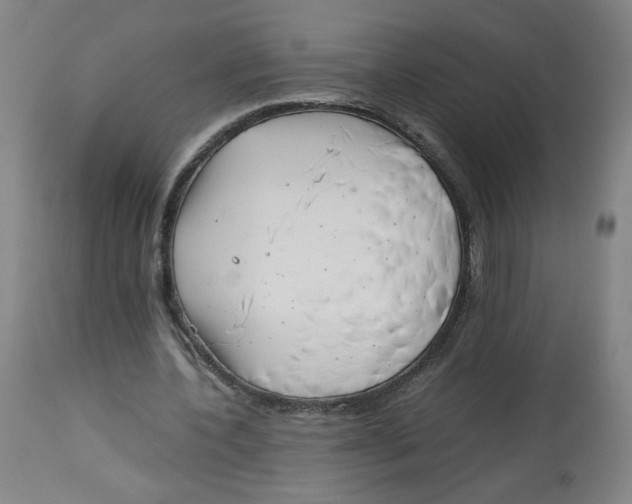 X0000113150532200910021504