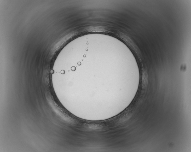 X0000113150533200910021504