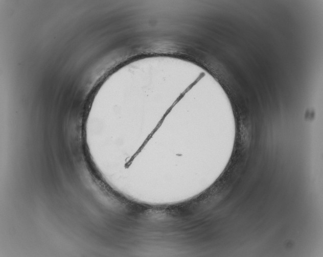 X0000113150534200910021504