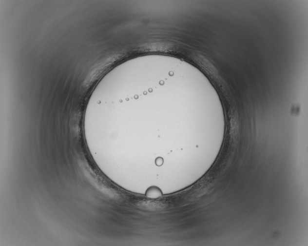 X0000113150537200910021504