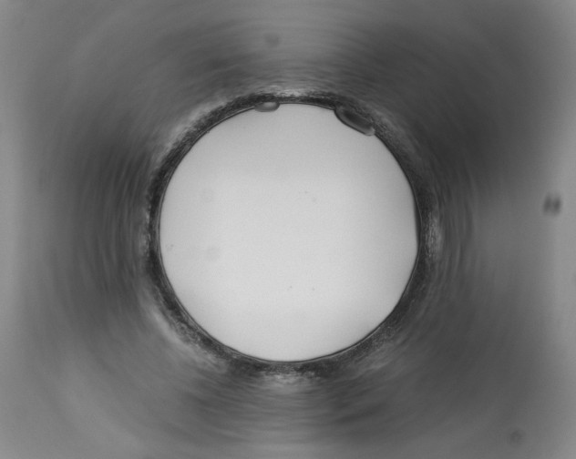 X0000113150540200910021504