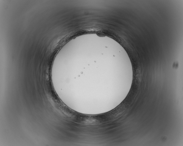 X0000113150547200910021504