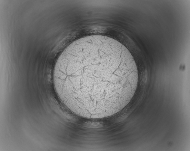X0000113150553200910021505