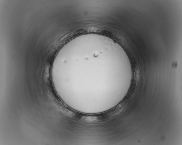 X0000113150554200910021505