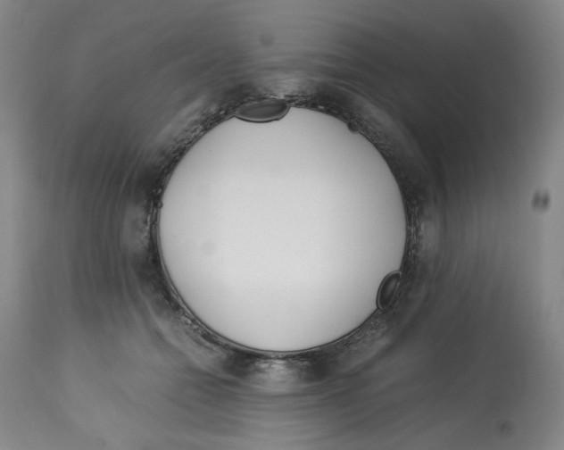 X0000113150558200910021505