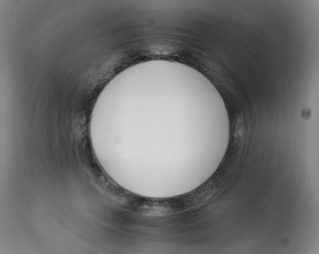 X0000113150559200910021505