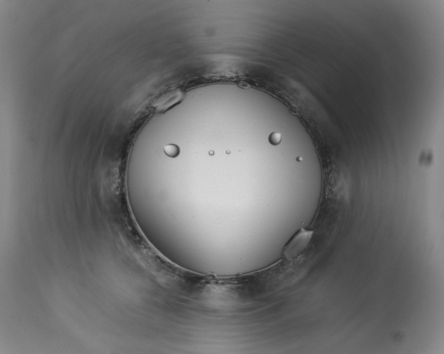 X0000113150560200910021505