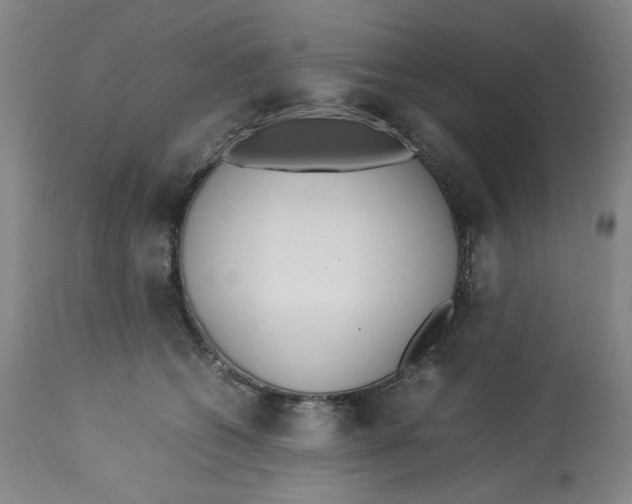 X0000113150562200910021505