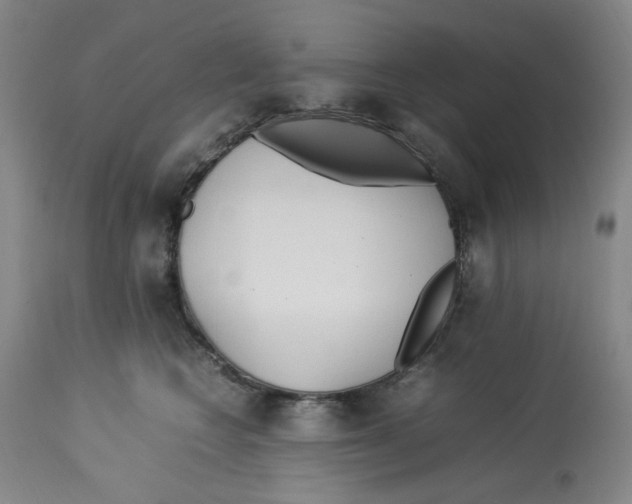 X0000113150566200910021505