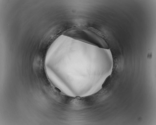 X0000113150568200910021505