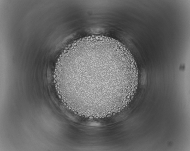 X0000113150569200910021505