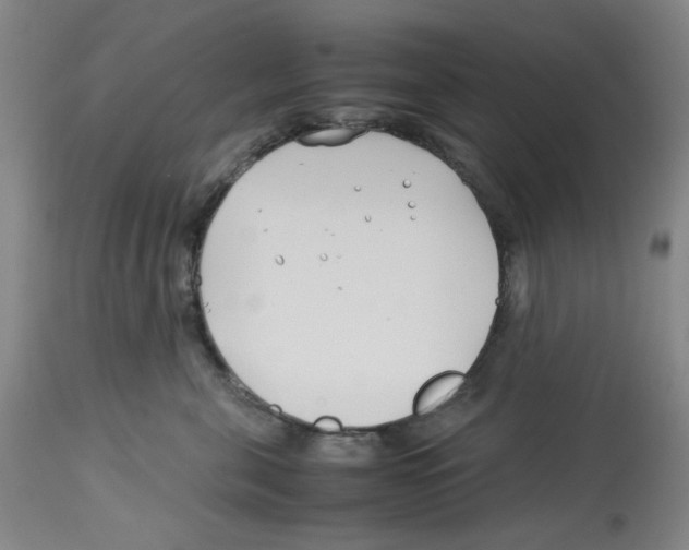 X0000113150571200910021505