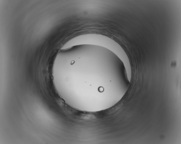 X0000113150572200910021505