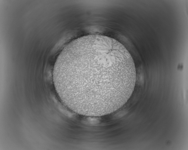 X0000113150573200910021505