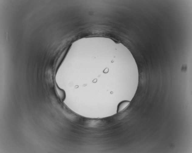 X0000113150575200910021505