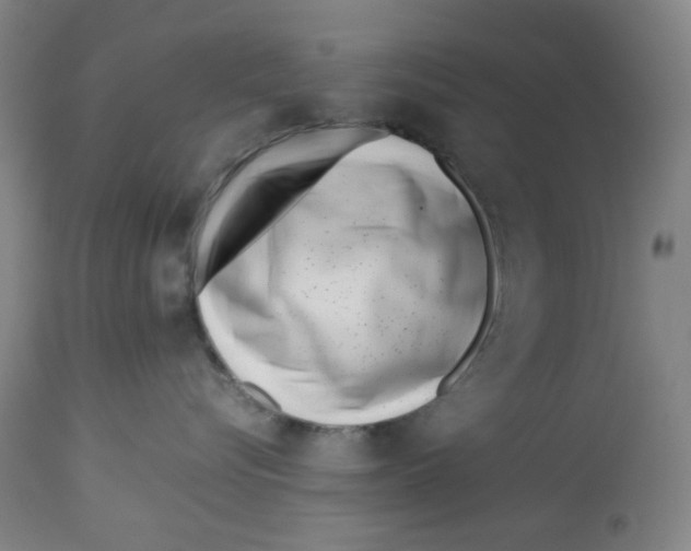 X0000113150576200910021505